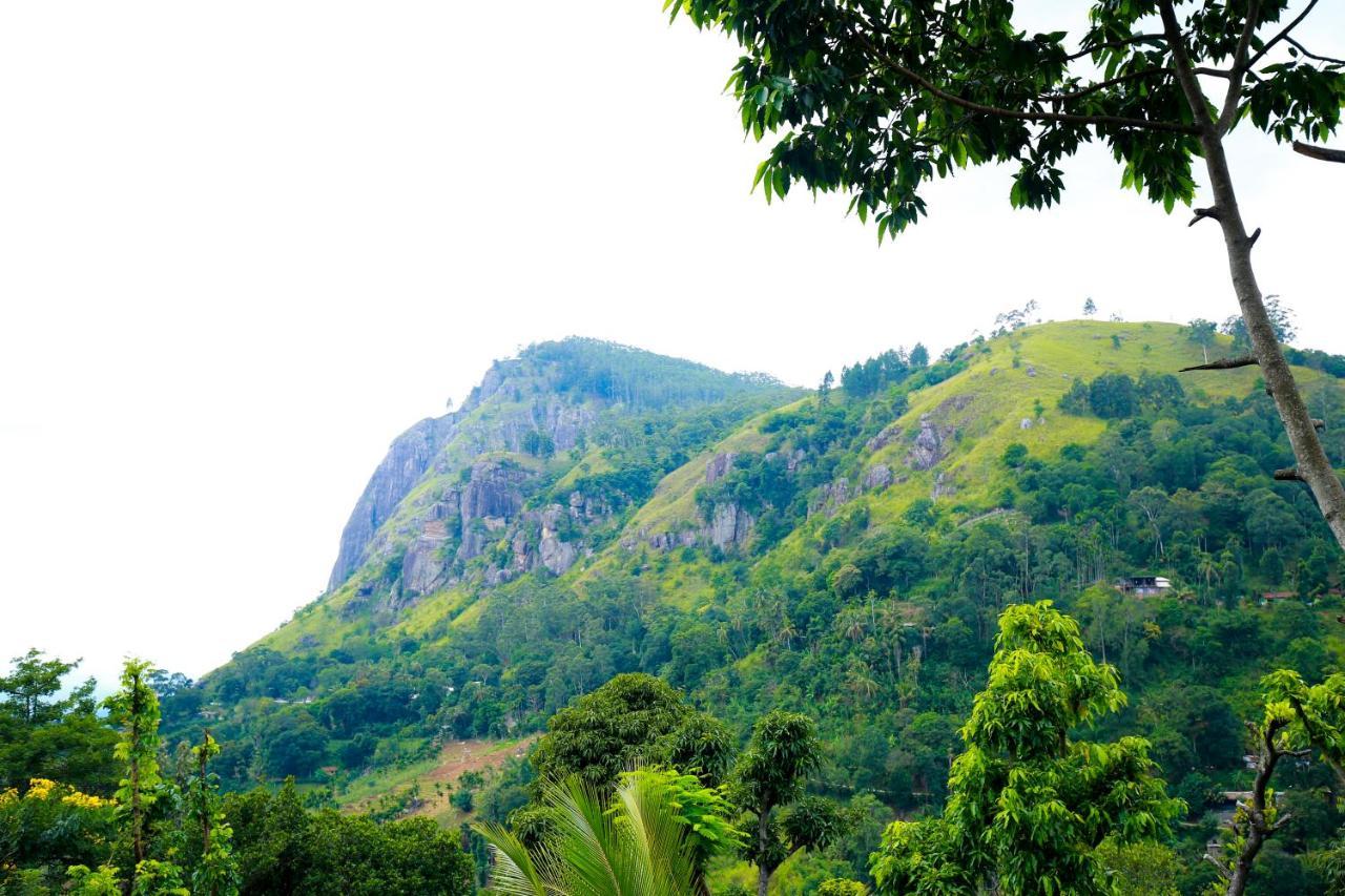 Ella Country House Ngoại thất bức ảnh