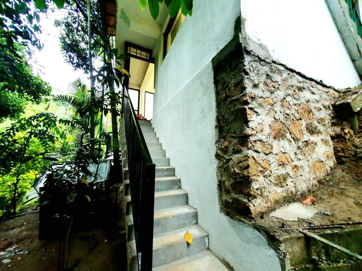 Ella Country House Ngoại thất bức ảnh