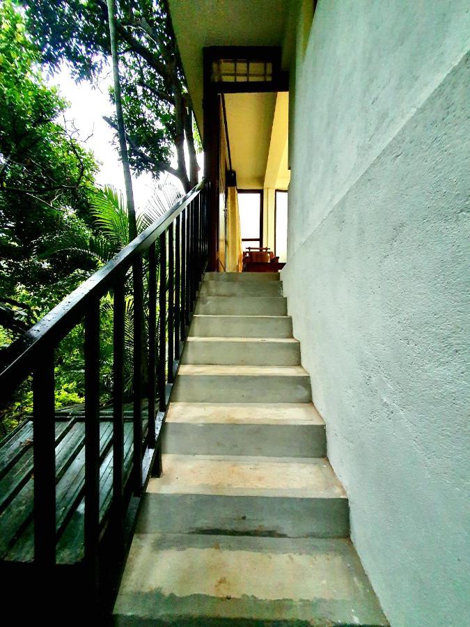Ella Country House Ngoại thất bức ảnh